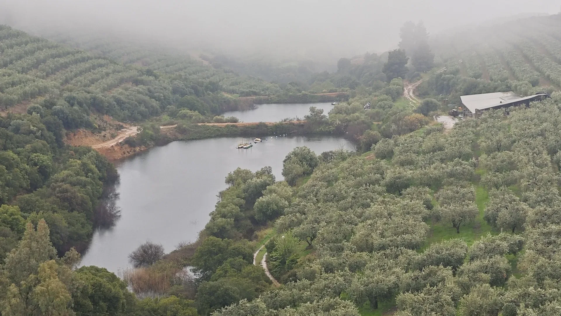 Ταμιευτήρας ομίχλη