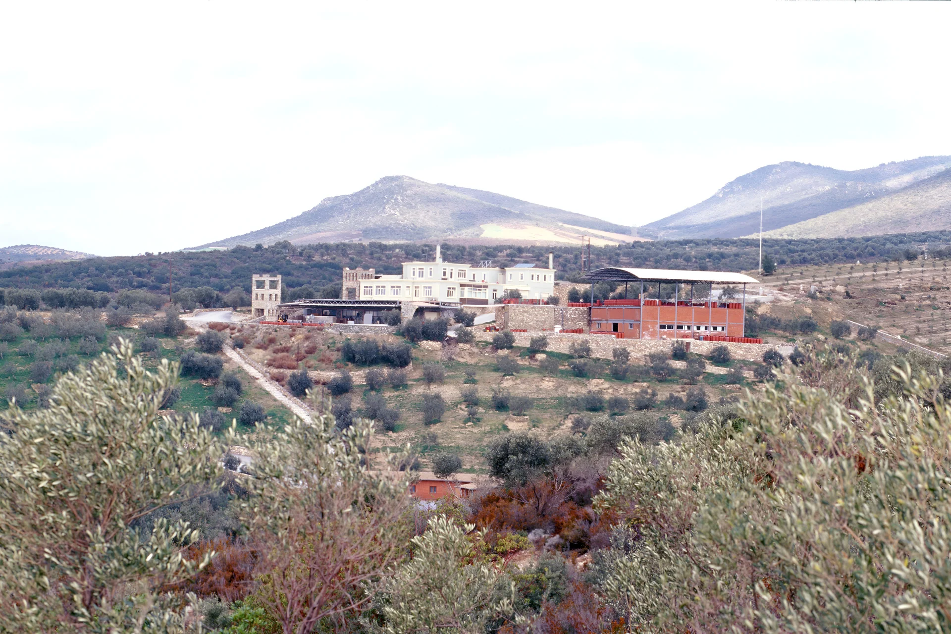 ΒιοΑγρόκτημα ΛΕΥΚΟΣ – Κεντρικό κτίριο και ελαιώνας